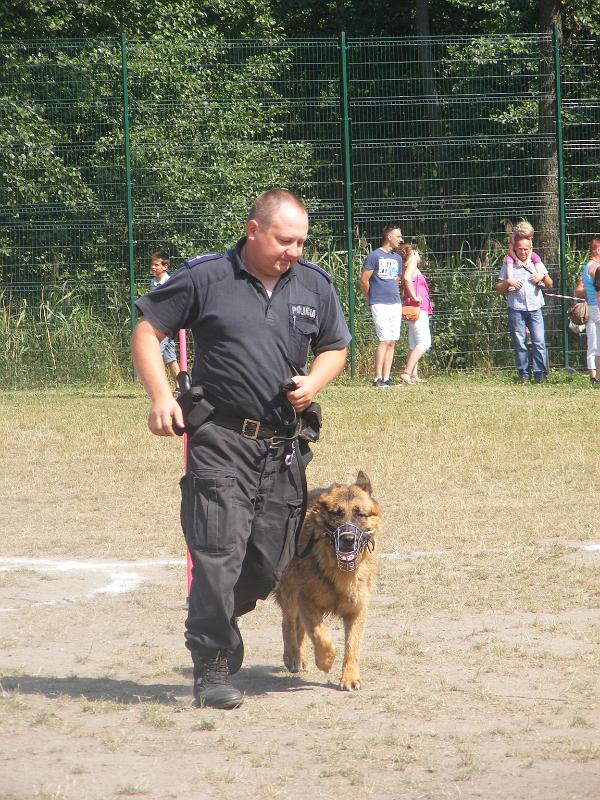 01.07.12r. FESTYN 114
